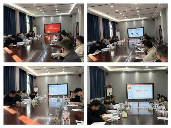 “環己基膦衍生物生產關鍵技術開發”等三個項目通過省級科技成果評價